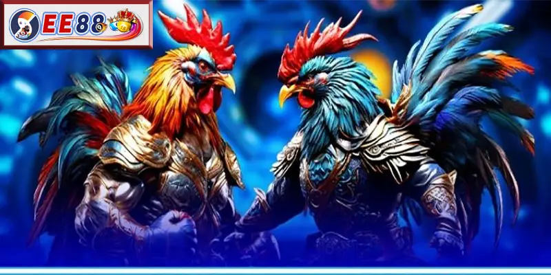 Lợi Ích Của Việc Tham Gia Chơi Đá Gà EE88